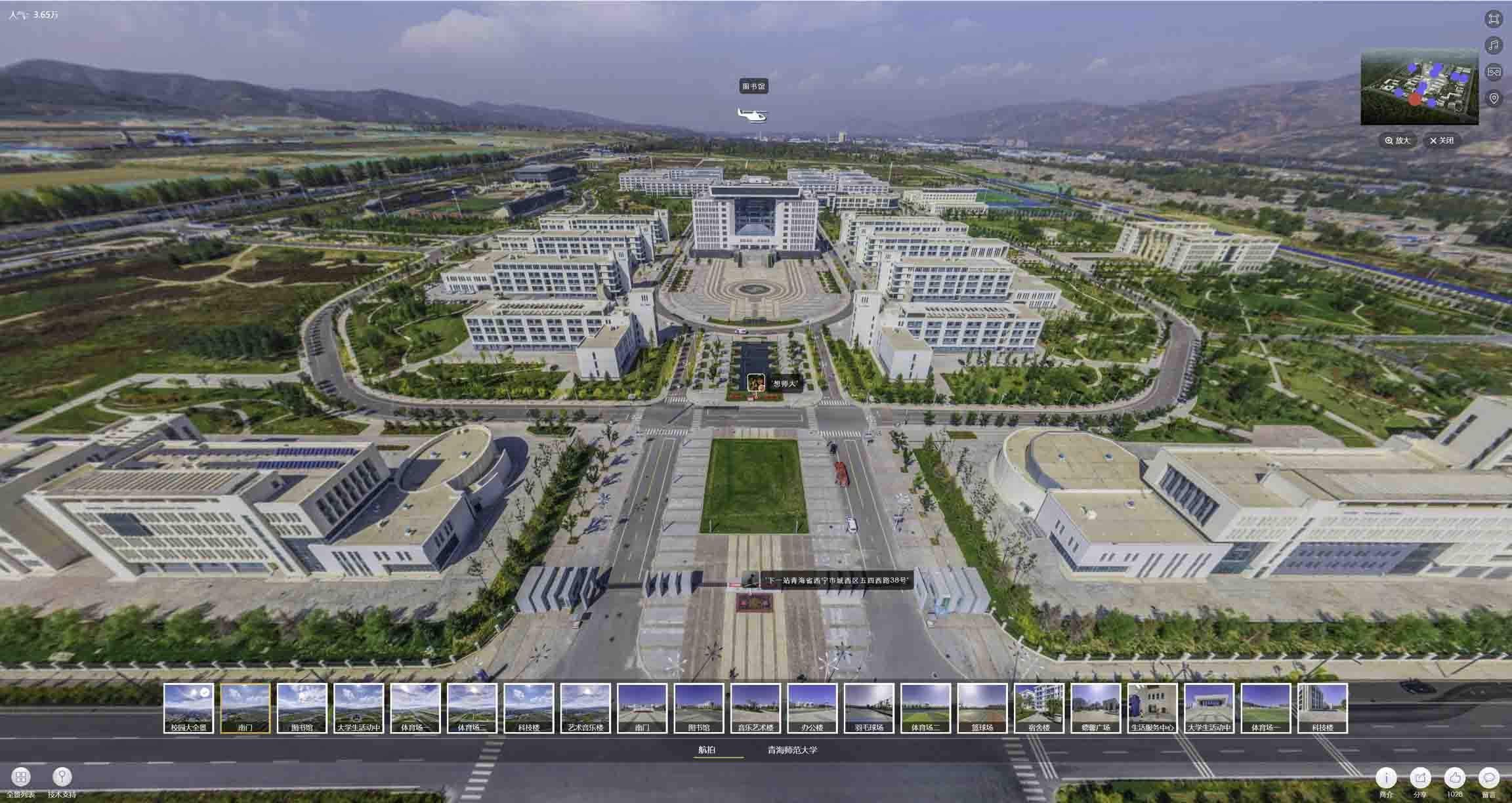 林口油菜花-惊艳半生的花海仙境